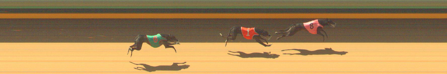 Race result finish photo